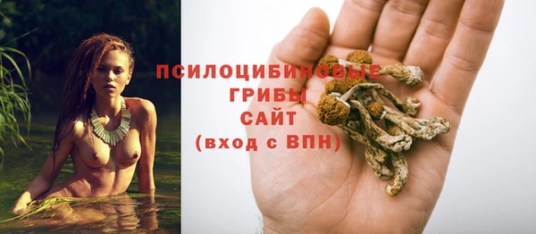 герыч Иннополис