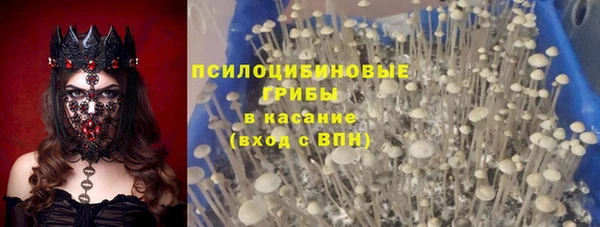 тгк Вязьма